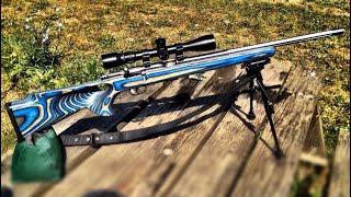 Savage 17hmr [upl. by Ailimat]