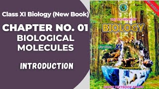 Ch 1 Biological molecules  Introduction  Class 11 biology new book  Sindh board BIOs Attraction [upl. by Adnauqahs]