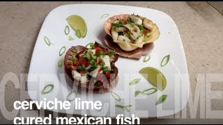 CERVICHE LIME CURED MEXICAN FISH Video Recipe [upl. by Leraj]