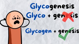 Glycogenesis Gycogenolysis Glycolysis gluconeogenesis How to make sense of the names [upl. by Keary]