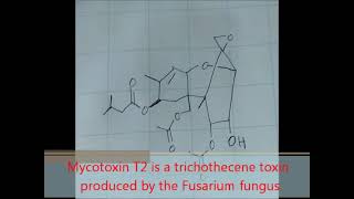 Plant Poisoning Mycotoxins [upl. by Telrahc]