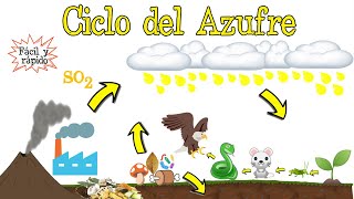 ♻️ Ciclo del Azufre 💥 Fácil y Rápido  BIOLOGÍA [upl. by Atiuqcir299]