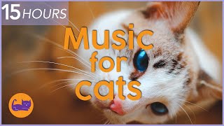 NO ADS 15 HOURS of Relaxing Cat Music  Instant Relaxation [upl. by Mirak]