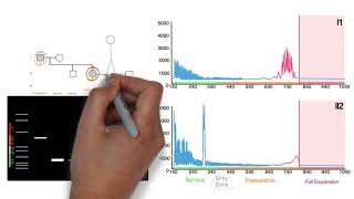 Repeat Expansion Diagnostic Techniques Part 2  Repeat Primed PCR [upl. by Daisi]