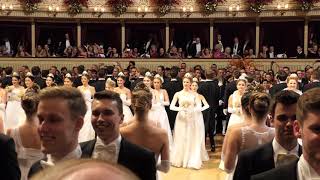 Wiener Opernball 2019 Balleröffnung der Debütanten [upl. by Notterb335]