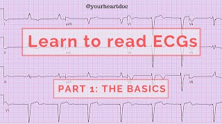 Learning to Read an ECG 8 simple steps [upl. by Cormier]