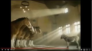 Budweiser Clydesdales Commercial Compilation [upl. by Nevar502]