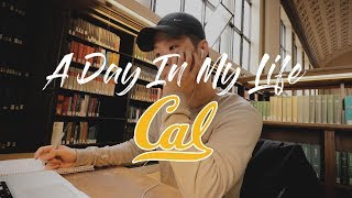 A Day In My Life at UC Berkeley [upl. by Florie]