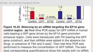 RNAi and heterochromatin formation [upl. by Earl]