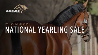 NATIONAL YEARLING SALE 2023  DAY 2 [upl. by Enylcaj710]