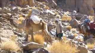 Exploring North West Tschad Tibesti Mountains Emi Koussi [upl. by Aronas]