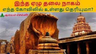 லேபாக்ஷி கோயில்  Lepakshi Temple in Tamil  Lepakshi Veerabhadra Temple [upl. by Wills214]