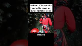 Mrbeast is rude  memes robloxjtoh robloxmemes cat videogamememes [upl. by Cruce571]