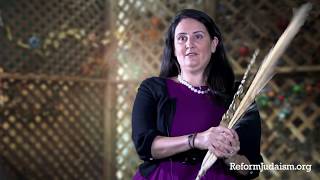 Sukkot How to Say the Blessings and Shake the Lulav [upl. by Vevay]