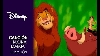 El Rey Leon 2019  Hakuna matata  Timón y Pumba español latino [upl. by Matias65]