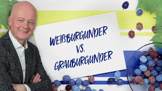 Weißburgunder vs Grauburgunder Weinverkostung  ebrosia Weinakademie Ep 10 [upl. by Ahtelat180]