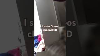 I stole Oreos channel [upl. by Yakcm]