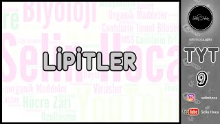 4 Lipitler [upl. by Burnight]