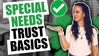 Special Needs Trust Basics [upl. by Nirrol797]