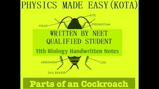 PART  2 NEET BIOLOGY REVISION NOTES COCKROACH ROUNDWORM FLATWORM TAPEWORM ASCARIS FOR NEET3 [upl. by Arol]