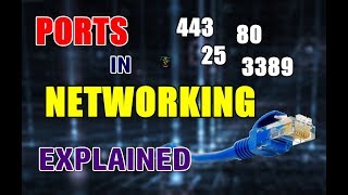 What Are Ports In Networking  Types Of Common TCP Ports  EXPLAINED [upl. by Buckels]