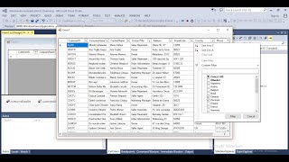 Advanced DatagridView filter  C [upl. by Barnes]