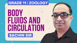 Body Fluids and Circulation Class 11 Biology  Blood amp Its Components Blood Coagulation  NEET Prep [upl. by Aikym]