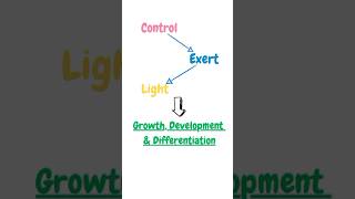 Photomorphogenesis biology youtube biotechnology science plantphysiology pritiduhanofficial [upl. by Edward]