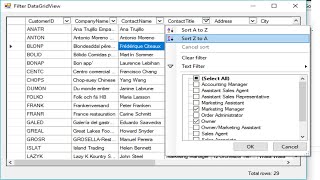 C Tutorial  Advanced Filter DataGridView  FoxLearn [upl. by Burney667]