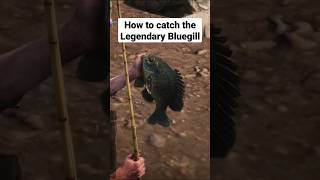 How to catch the Legendary Bluegill 🎣 Red Dead Redemption 2 [upl. by Idorb]