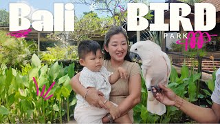 Bali bird park [upl. by Mirak765]