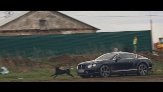 Тестдрайв от Давидыча Bentley Continental GT [upl. by Ihcur]