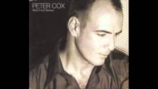 What A Fool Believes  Peter Cox [upl. by Alekahs]