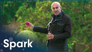 How Gravity Shapes Our World With Jim AlKhalili  The Amazing World Of Gravity  Spark [upl. by Vernier]