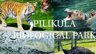 Pilikula Zoo Mangalore [upl. by Ayr]