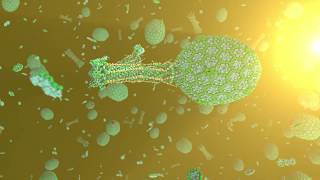 How To Draw A Bacteriophage  Virus T4 phage [upl. by Ringo819]