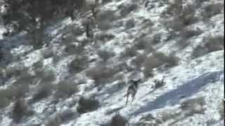 Crawford Deer Hunt Part Two  Big Al [upl. by Fen223]