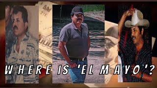 Ismael El Mayo Zambada The Untold Story of the Sinaloa Cartels Shadowy Drug Lord [upl. by Annauqaj396]