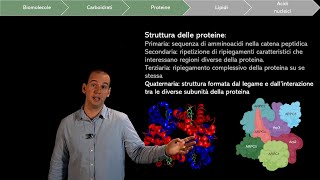 Le biomolecole gli Amminoacidi e le Proteine [upl. by Leinto]