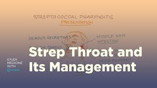 Strep throat pathology symptoms and management [upl. by Ziana]