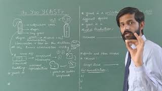 Useful and harmful microbes  Lecture 3  Yeast  Alcohol Production  Bioremediation  Alcanivorax [upl. by Riobard]