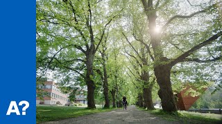 Welcome to Aalto University campus [upl. by Pizor]