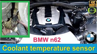 BMW coolant temperature sensor location and demonstration [upl. by Denice]