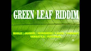 Green Leaf Riddim Mix March 2012 [upl. by Blen]