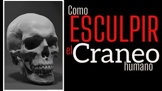 Como esculpir un Craneo humano Parte 1 2 Tutorial escultura en plastilina [upl. by Adnirolc379]