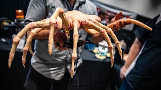 Lifelike Animatronic Facehugger Practical Effects Puppet [upl. by Erskine765]