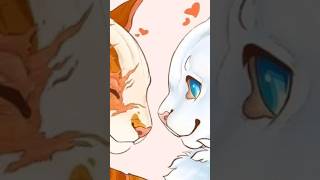 Brigthheart x cloudtail warriorcats shipedit ship capcut wcue viraltiktok art cute warrior [upl. by Yelbmik]