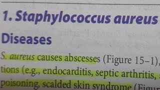 Staphylococcus Aureus  MICROBIOLOGY [upl. by Ginevra]