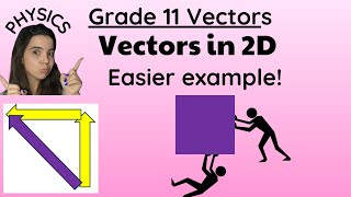 Grade 11 Vectors in two dimensions practice question Physics [upl. by Jariv562]