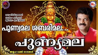 പുണ്യമല ശബരിമല  Punyamala Sabarimala  Ayyappa Devotional Song Malayalam  Mg Sreekumar [upl. by Noryv]